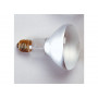 Kaiser Lampe Photoflood, 150 W, 230 V, E27, 3200 K, avec reflecteur
