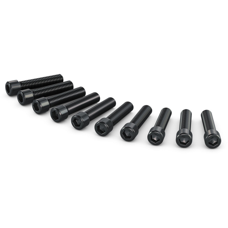 Blackmagic Camera Vis pour URSA Mini Pro - Mnt Screws B4