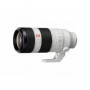 Sony Objectif FE 100-400mm F4.5-5.6 GM OSS