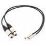 Blackmagic Video Assist Mini XLR Cables (la paire)