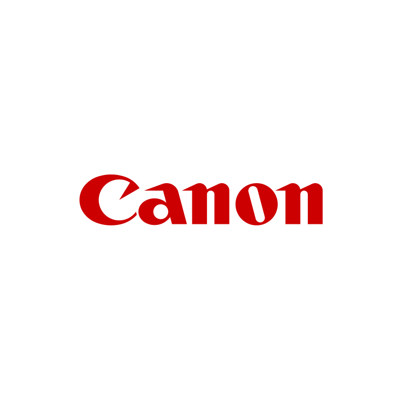 Canon ZSD-300D - Poignée Zoom Digital