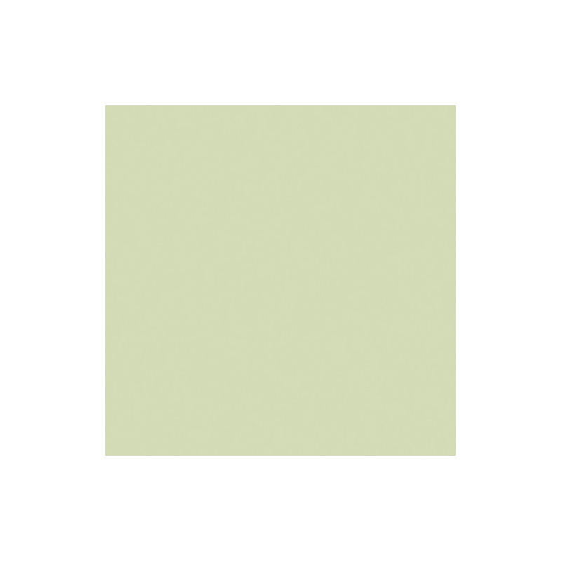 Eurofilter Rouleau 1/2 Plus Green 1.22m x 7.62m