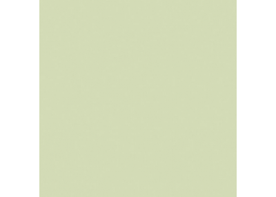 Eurofilter Rouleau 1/2 Plus Green 1.22m x 7.62m