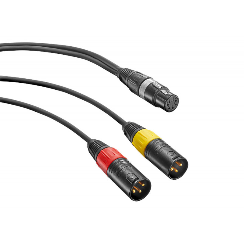 Neumann AC 20 Cable en Y XLR-5F vers 2 XLR-3M - 1m