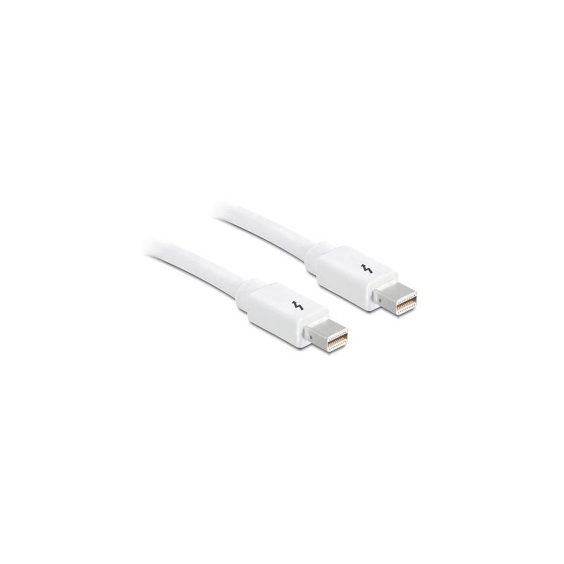 Apple Thunderbolt Câble de 0.5 m
