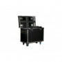 American DJ Touring Case 2x Vizi Beam 12RX