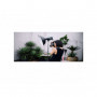 Profoto bol beaute 52.5cm - 65° blanc