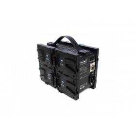 Hawk-Woods - Mini-VL 8-way charger  - semi-simultaneous