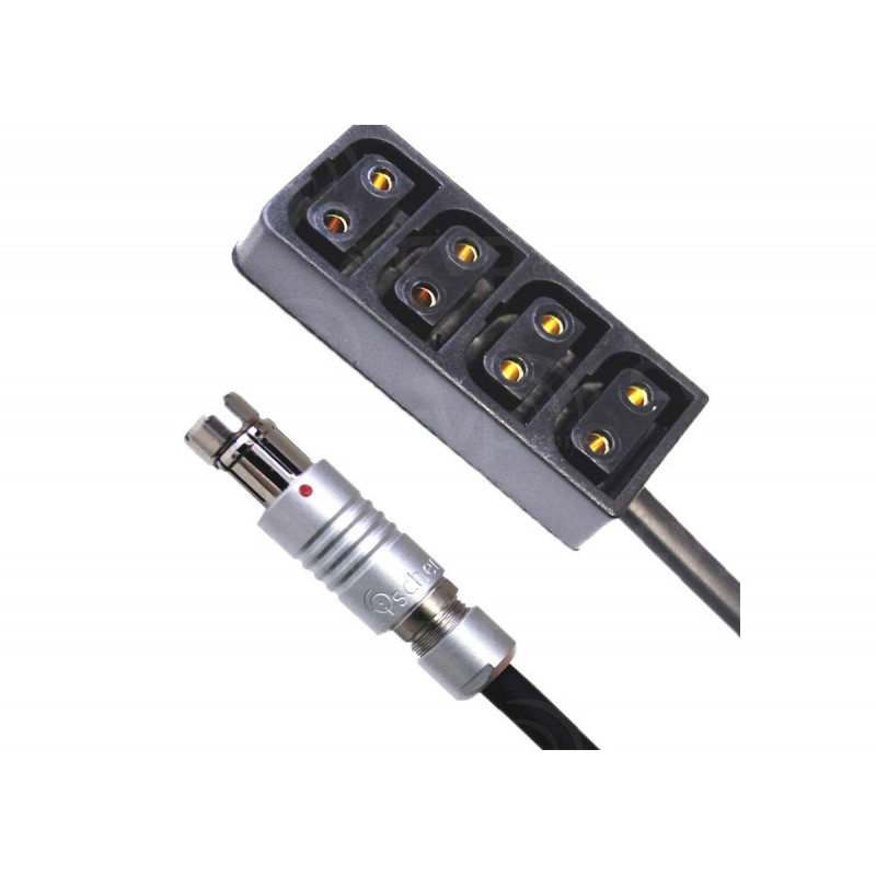 Hawk-Woods - RS 3-Pin - Régulé 12V - Adaptateur 4x Power-ConF 30cm