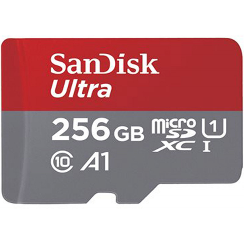SanDisk Carte SDXC Ultra 256Go (A1/UHS-I/Cl.10/120MB/s) &Ad Chromeboo