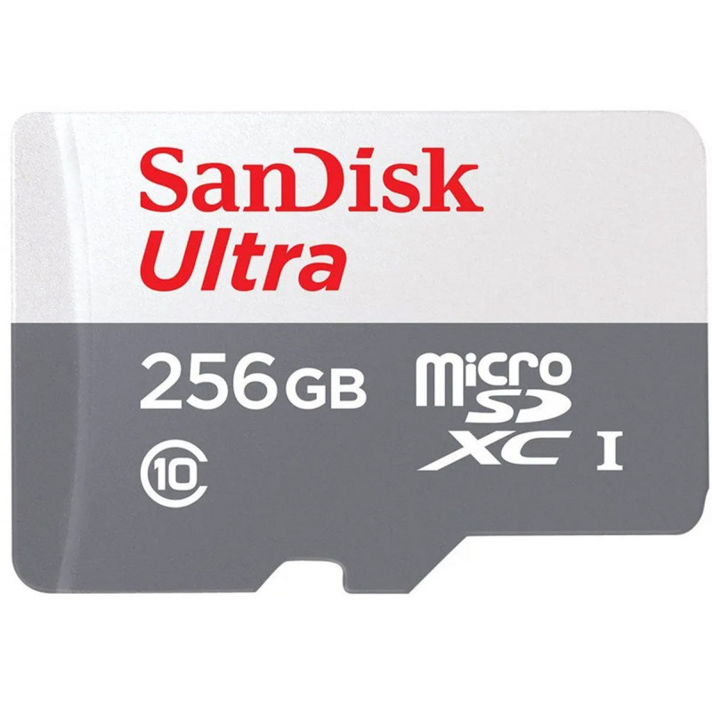 SanDisk Carte SDXC Ultra 256Go (UHS-1/Cl.10/100MB/s) &Ad Tablets