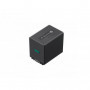 Sony NP-FV100 Batterie Li-ion longue durée 3 900 mAh série V 