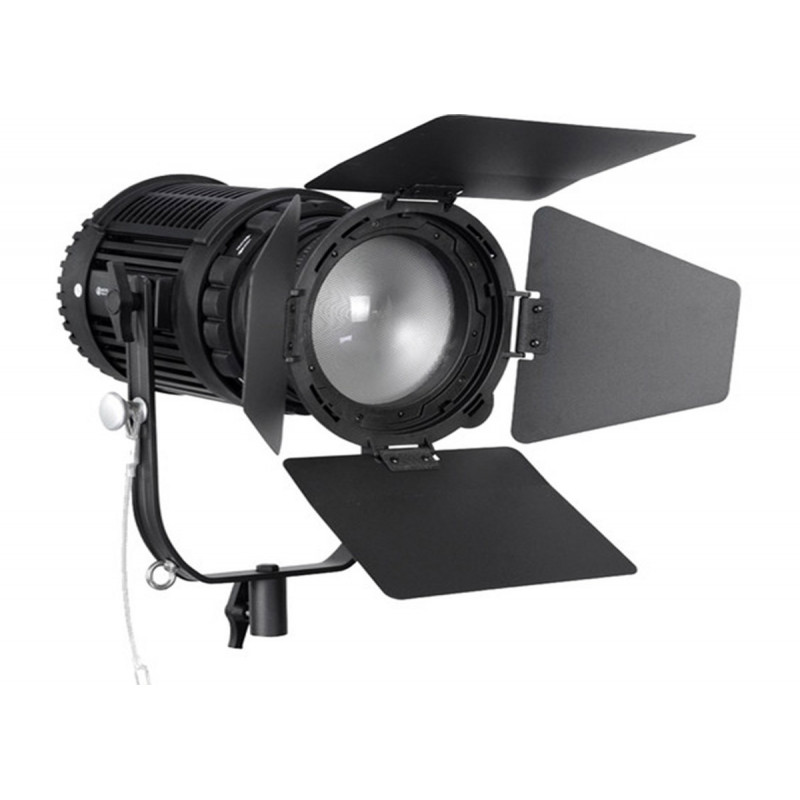 Nanguang CN-100FC Fresnel LED Bi-color 100W avec Sac Control DMX