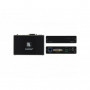 Kramer TP-580RD Recepteur DVI 4K60 4:2:0 DVI HDCP 2.2 avec RS-232&IR
