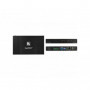 Kramer TP-594TXR Emetteur HDMI Audio IR & RS-232 sur HDBaseT 2.0&USB