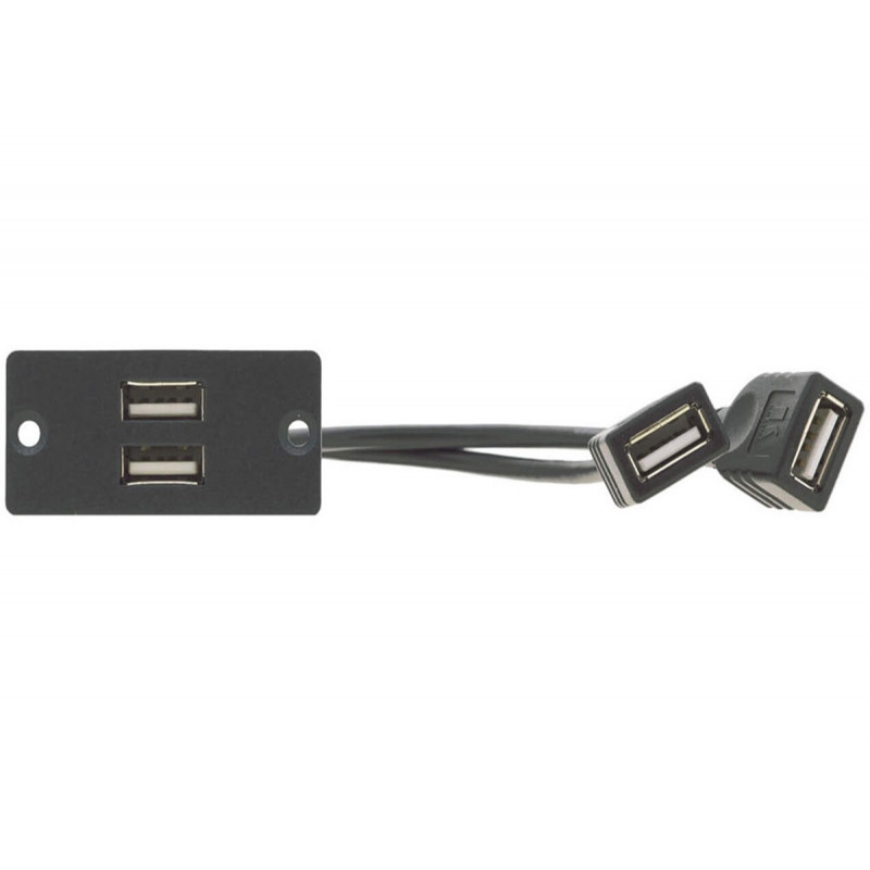 Kramer WU-2AA(G) Module  2 x USB 2.0 (A/A)
