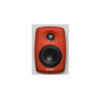 Genelec Option Peinture Unitaire - 120RAL pour 4x40