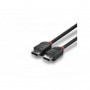 Lindy Câble DisplayPort 1.2, Black Line, 2m