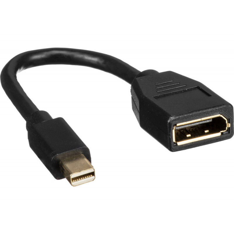 Kramer ADC-MDP/DPF Cable Adaptateur MiniDisplayPort(M)-DisplayPort(F)