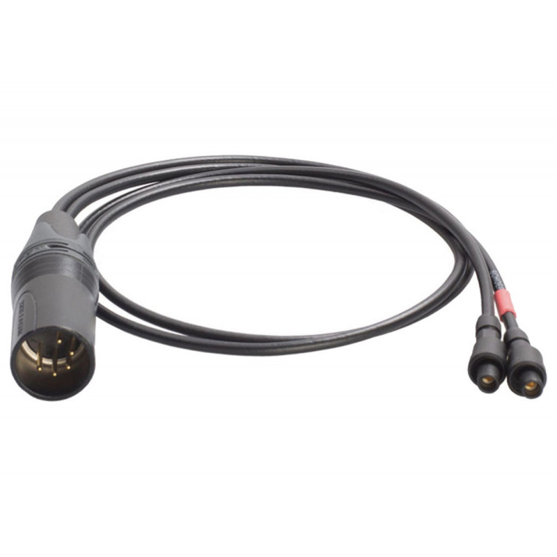 Schoeps AK 2L/SU - Cable adaptateur Y (2) Lemo vers (1) XLR-5M