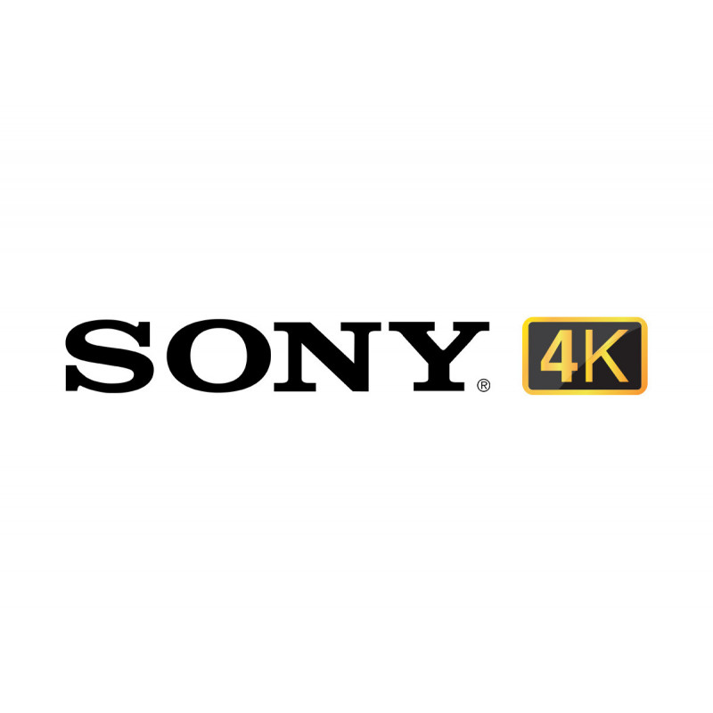 Sony SRGL-4K Licence 4K pour Caméras SRG-X400 et SRG-X120