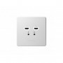 BirdDog Wallplate Dual Output