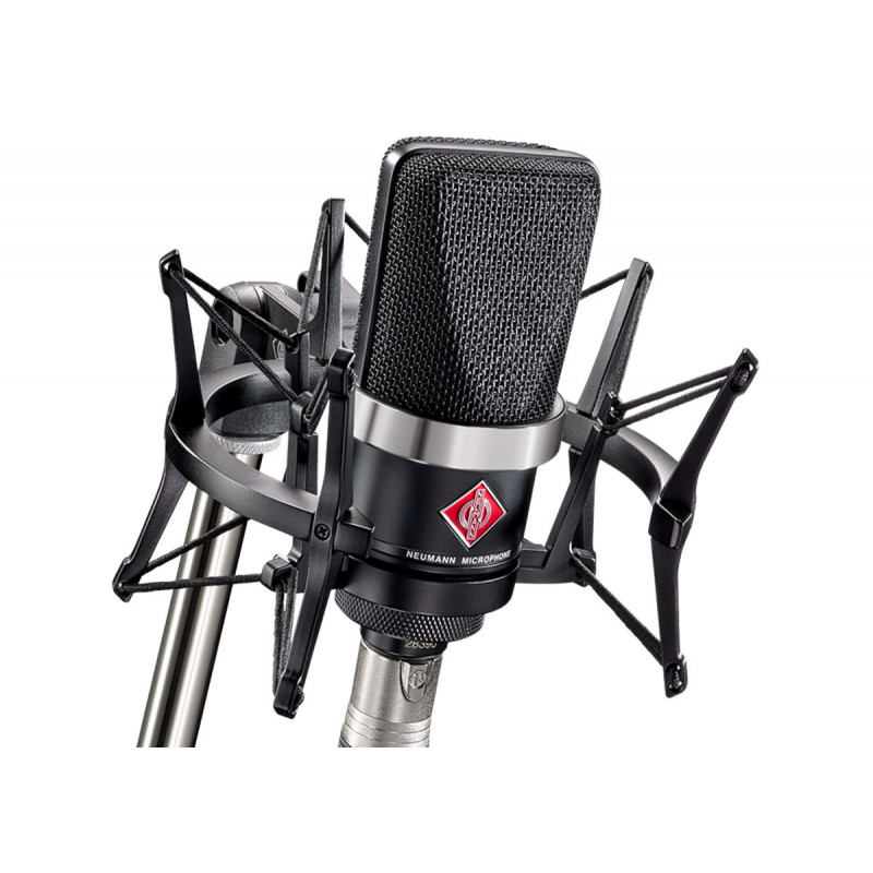 Neumann Avec TLM 102 mt et EA 4, noir