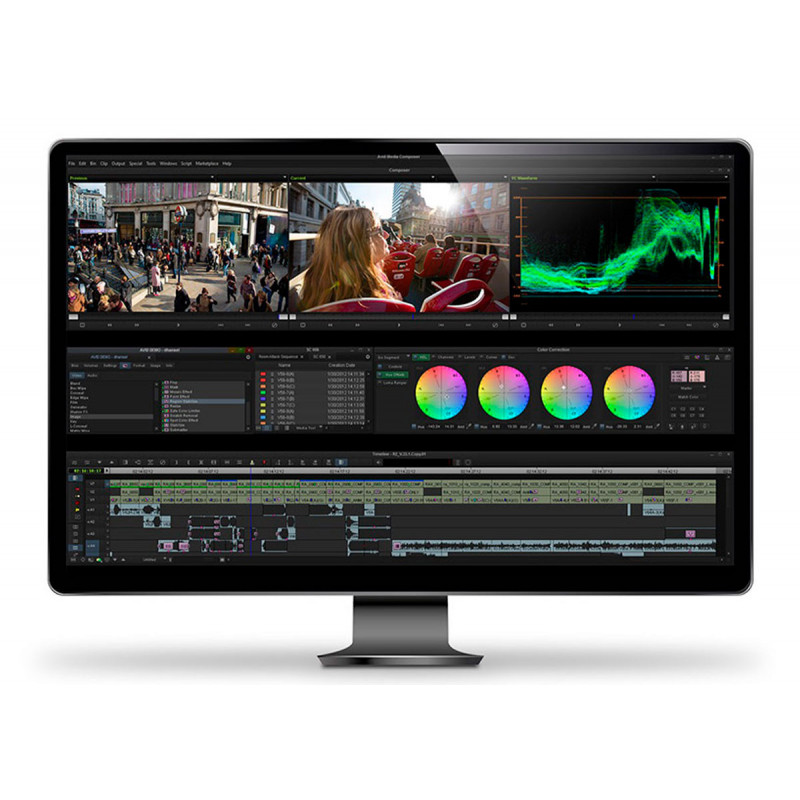 Avid Media Composer Perpetual License (ESD)