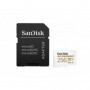 SanDisk Carte SDXC Max Endurance 256Go &Ad UHS-3 Cl.10 100 MB/s
