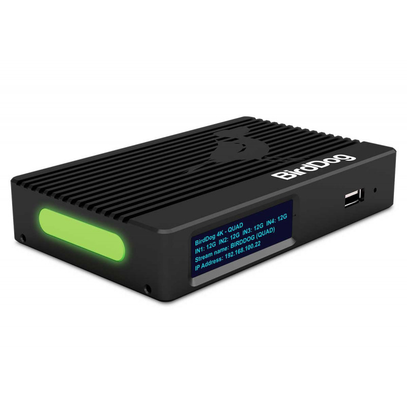 BirdDog 4K QUAD - Four channels of 12G SDI to 4Kp60 NDI Encoding and 