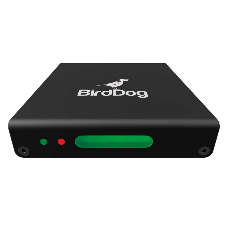 FV BirdDog Mini HDMI vers NDI – encodeur / décodeur