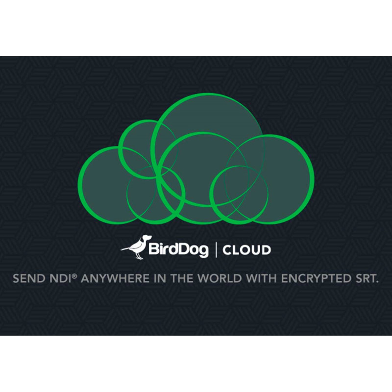 BirdDog Cloud yearly licence containing two endpoints with all module