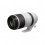 Canon Optique RF 100-500mm F4.5-7.1 L IS USM