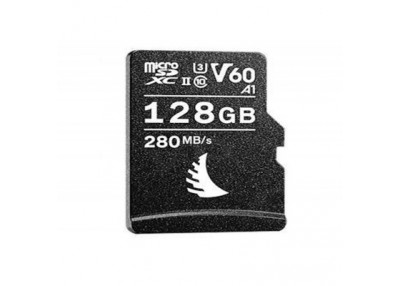 Carte mémoire Micro SD SanDisk High Endurance (SDSQQNR-064G-GN6IA