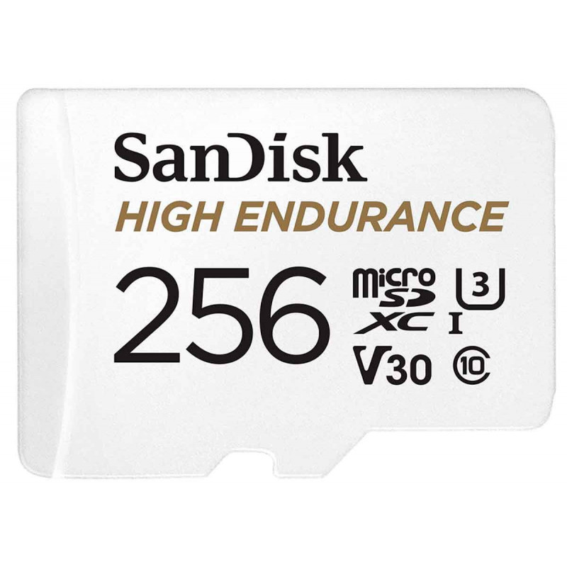 SanDisk Carte SDXC High Endurance Monitoring 256Go &Ad UHS-3 Cl.10 10