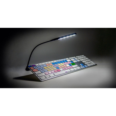 Lampe col de cygne à LED avec connecteur USB pour console