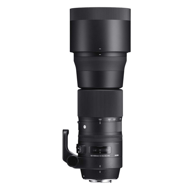 Sigma 150-600mm F5-6.3 DG OS HSM (D.95) Contemporary - Nikon
