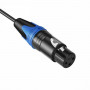 Hollyland Cable Ethernet vers XLR