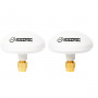 DwarfConnection Antennes champignons fixes et compact Fix Mushroom 2p