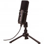 Zoom microphone  ZUM-2 USB pour podcasting