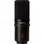 Zoom microphone  ZUM-2 USB pour podcasting