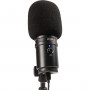 Zoom microphone  ZUM-2 USB pour podcasting