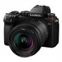 Panasonic Lumix S5 Objectifs 20-60mm f/3.5-5.6 + 85mm f/1.8
