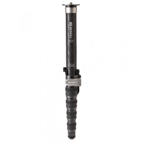 Benro MSD46C SupaDupa Monopode avec base pivot