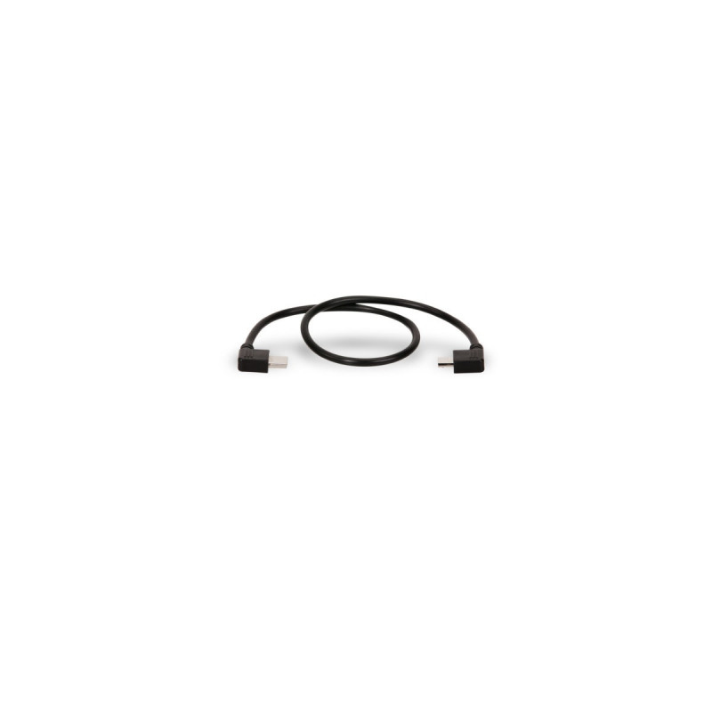 Tilta Câble d'alim Nucleus-Nano Micro USB vers USB-C Nano Motor