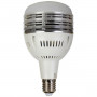 Starblitz Lampe 60W de remplacement pour SKITBULB60