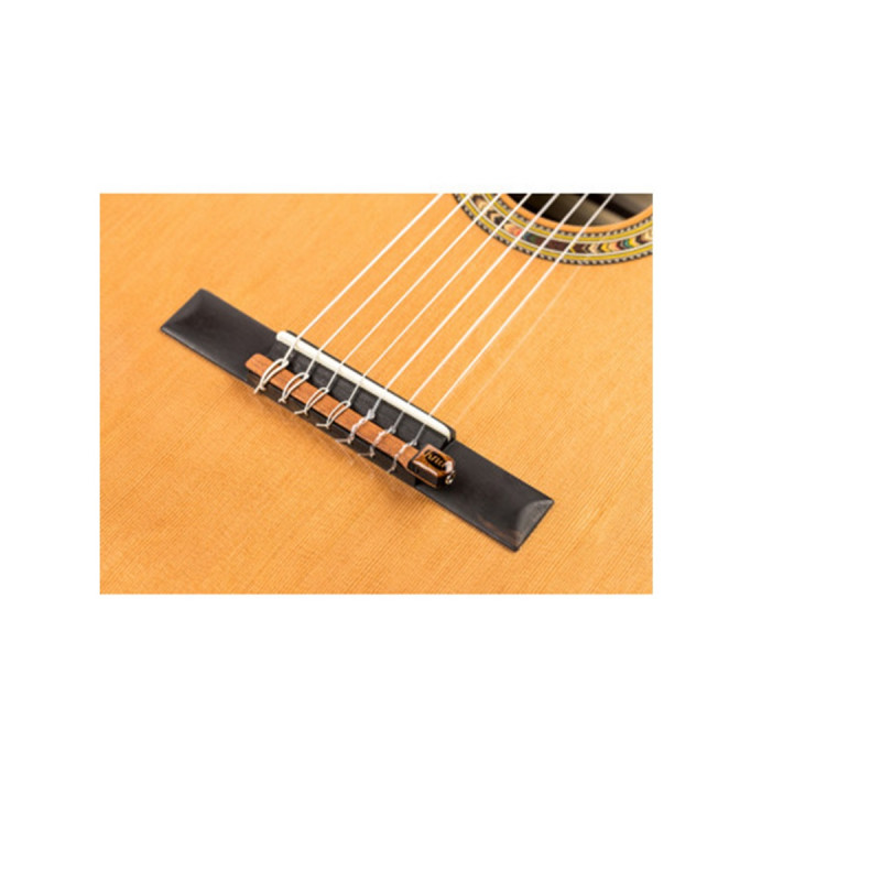 KNA NG-7S Micro Guitare 7 piezo