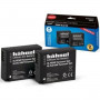 Hahnel HL-PLG10HP Panasonic Type Twin Pack