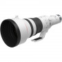 Canon RF 800mm F5.6 L IS USM Téléobjectif prof série L pour EOS R