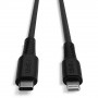 Lindy Câble renforcé USB type C vers Lightning, charge & synchro, 3m